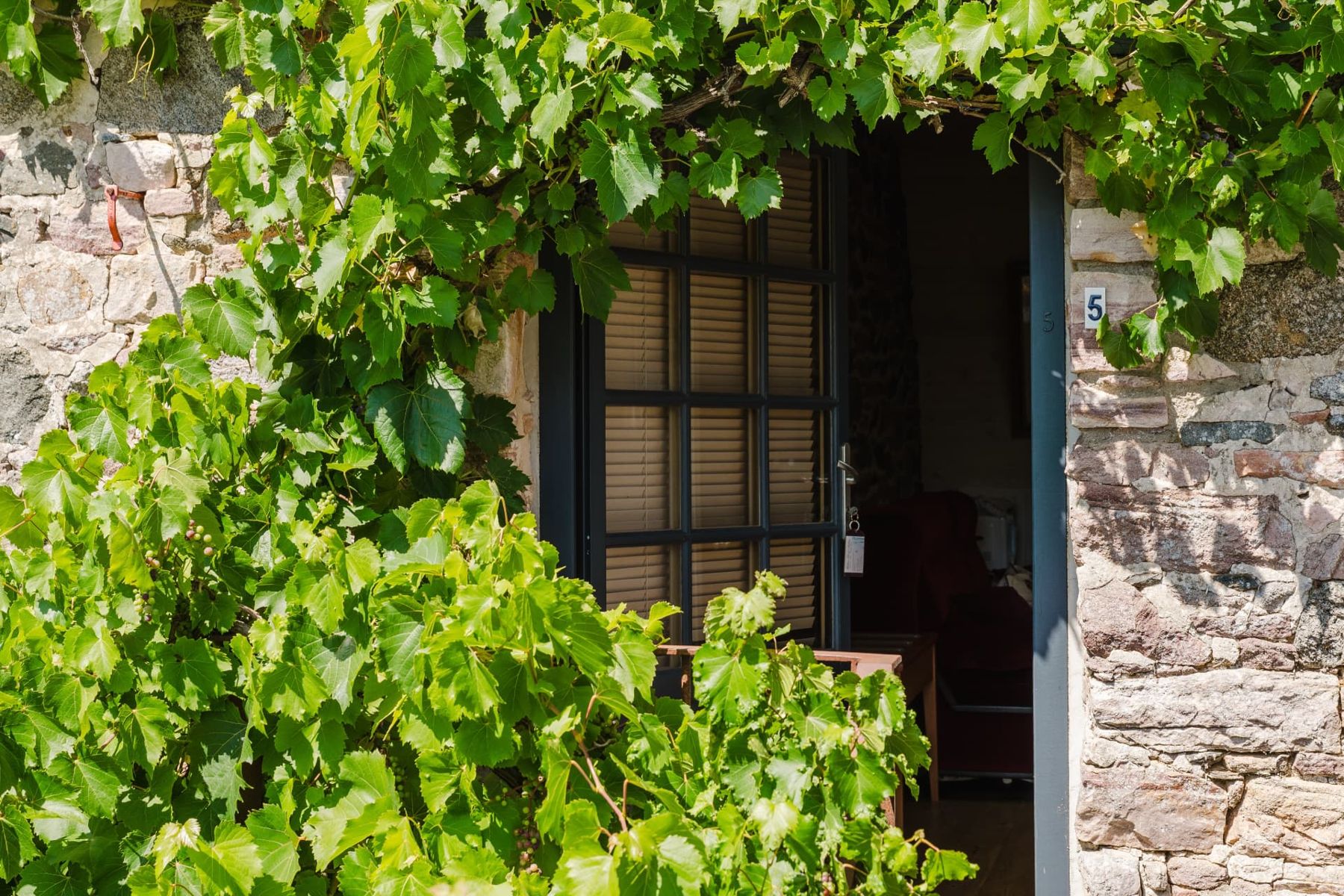 Entrée privative de la Chambre Confort sous une vigne, façade en pierre du Relais Saint-Aubin